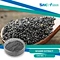 sesame plant extract